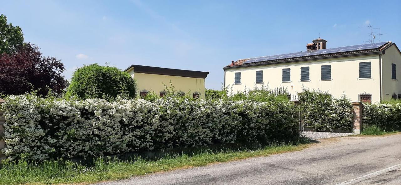 B&B Armonie Cotignola Eksteriør bilde